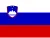 Steag care reprezintă codul de localizare: sl-SI